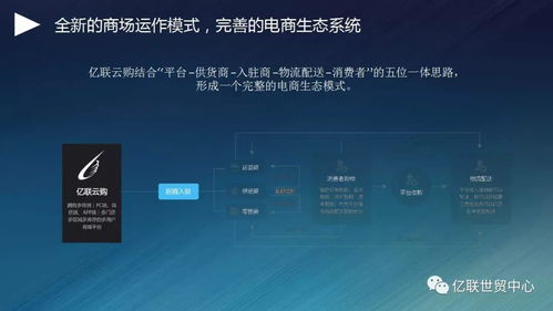 亿联云购 新商业生态系统平台全本解读
